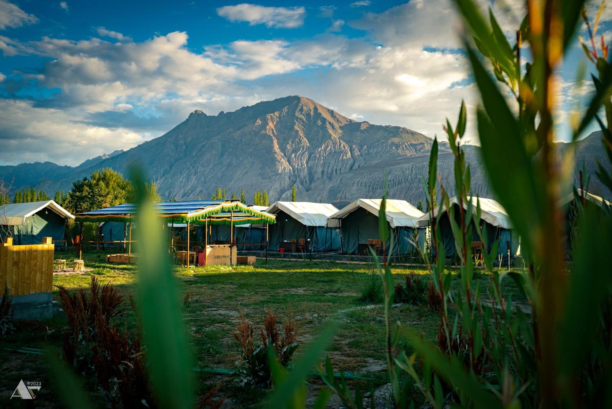 Green Throne Camp Bed & Breakfast Leh Bagian luar foto